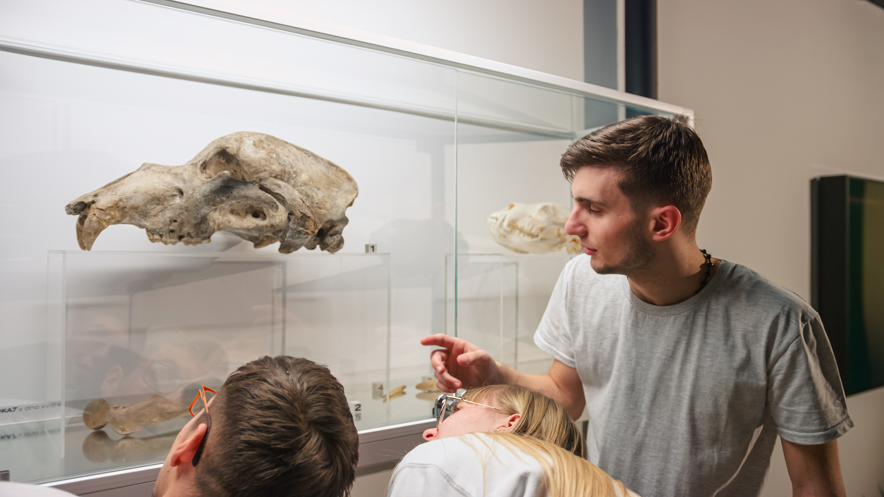 A group of 3 young people look at a museum exhibit of an animal skull.